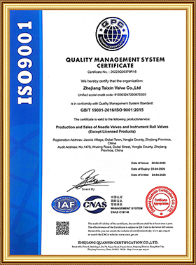 ISO9001證書（英文）